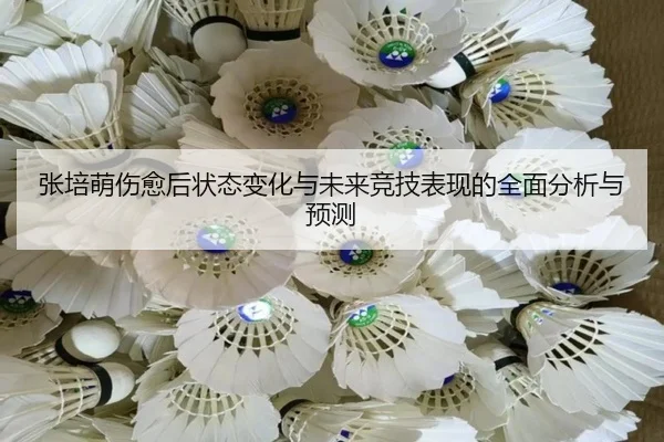 zhang-pei-meng-shang-yu-hou-zhuang-tai-bian-hua-yu-wei-lai-jing-ji-biao-xian-de-quan-mian-fen-xi-yu-yu-ce-1-623.jpg